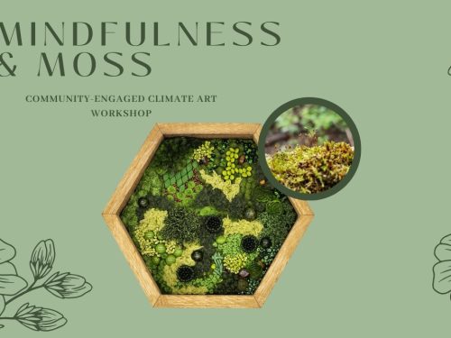 mindfulness-&-moss