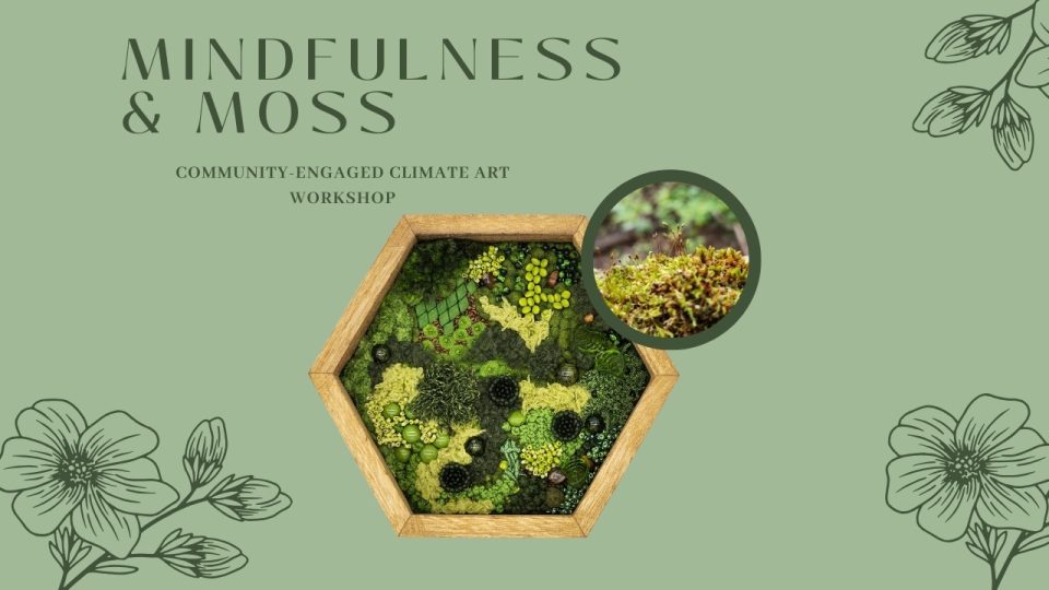 mindfulness-&-moss