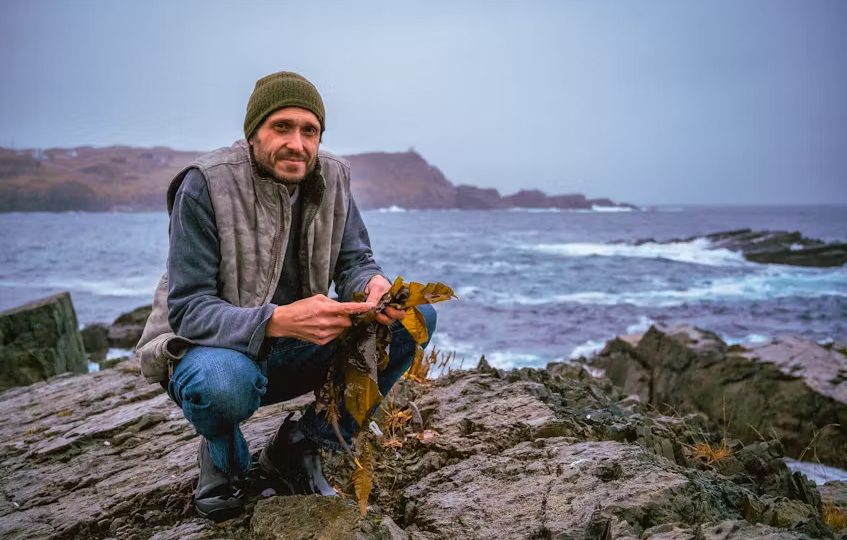 newfoundland-and-labrador’s-seaweed-industry-looking-to-grow-beyond-its-home-shores