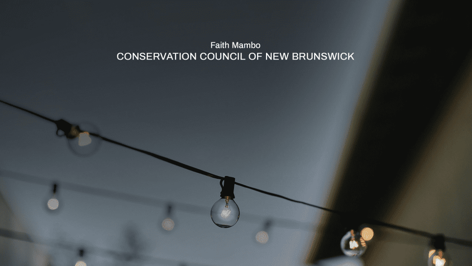 the-atlantic-citizens’-declaration-on-electricity-affordability