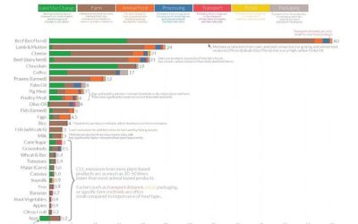 The carbon footprint of food