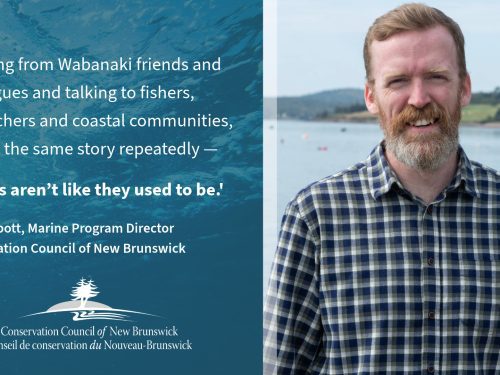 “things-aren’t-like-they-used-to-be.-”-–-a-year-end-message-from-your-fundy-baykeeper