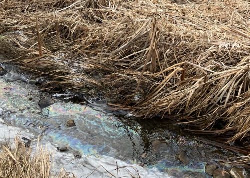 econews-—-massive-diesel-disaster,-provincial-budget-misses-mark-and-growing-green-minds