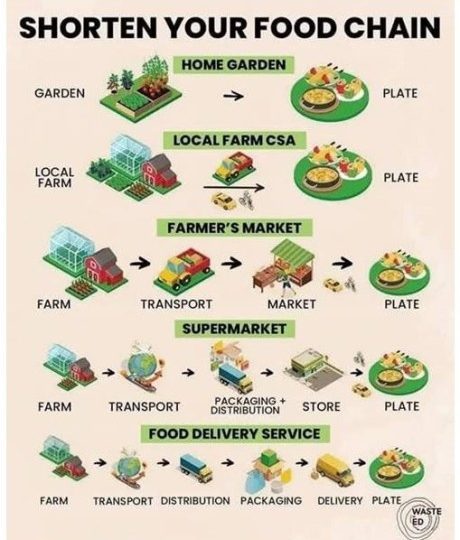 shorten-your-food-chain
