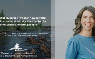From backyard forests to provincial environmental action: My journey to protect New Brunswick’s nature