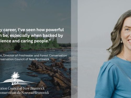 from-backyard-forests-to-provincial-environmental-action:-my-journey-to-protect-new-brunswick’s-nature