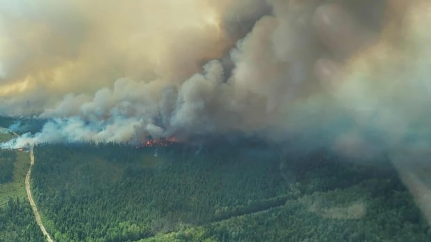 firefighters-from-pei,-ns-and-maine-arriving-to-battle-wildfires-in-nb.-|-cbc-news