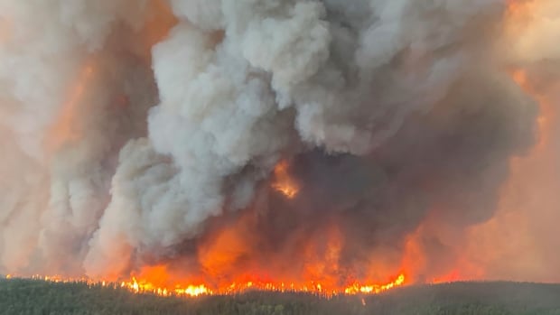 this-is-our-second-worst-wildfire-season-on-record-—-and-could-be-the-new-normal-|-cbc-news