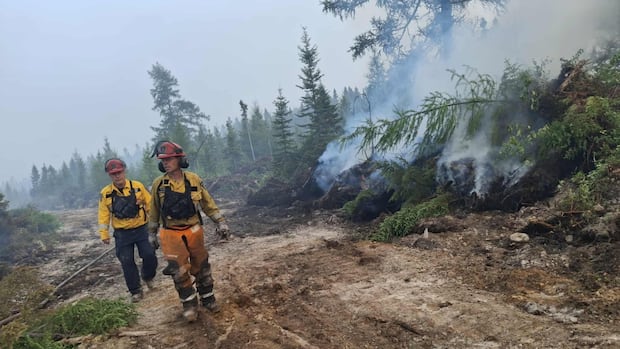 wildfire-outside-moncton-shrank-tuesday,-but-residents-remain-wary-|-cbc-news
