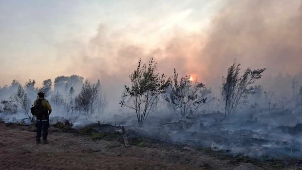 out-of-control-wildfires-burn-on,-with-slight-relief-from-heat-expected-thursday-|-cbc-news