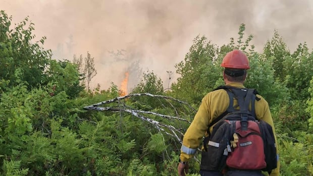 with-16-wildfires-across-the-province,-here-are-the-answers-to-some-faqs-|-cbc-news