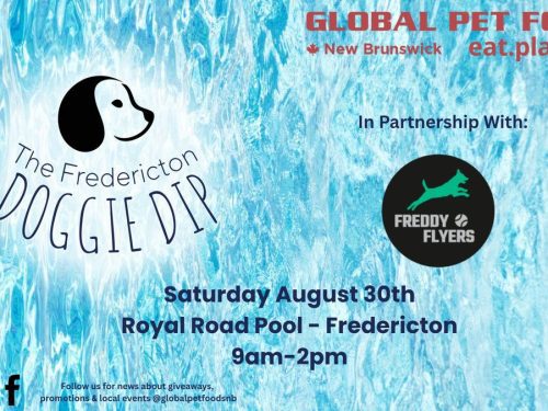 the-fredericton-doggie-dip