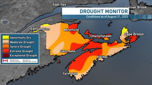 much-of-atlantic-region-officially-suffering-'extreme-drought,'-agriculture-canada-confirms-|-cbc-news