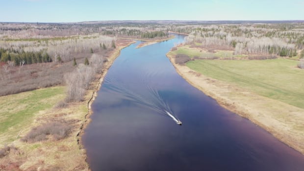 plunging-salmon-pool-prices-highlight-stock's-decline,-anglers-say-|-cbc-news