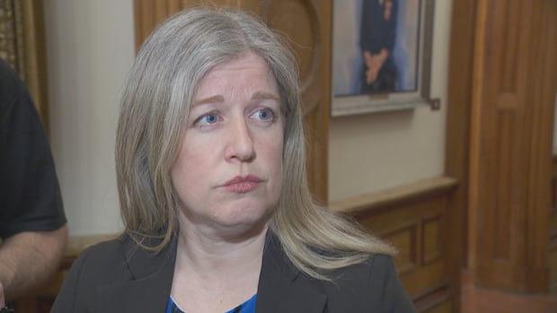 holt-expects-to-see-some-results-from-homelessness-task-force-by-the-end-of-2025-|-cbc-news