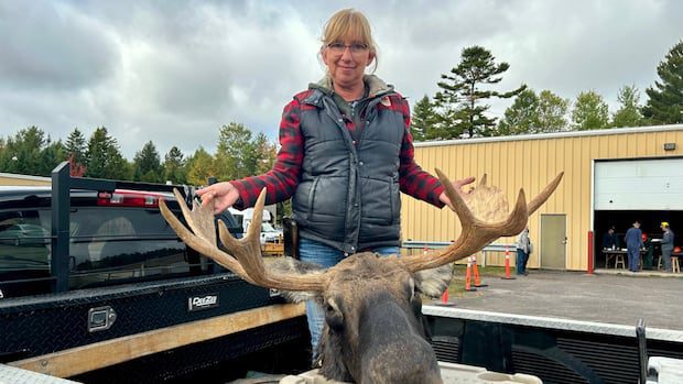 salisbury-hunter-tags-her-1st-moose-after-10-years-of-trying-for-a-licence-|-cbc-news