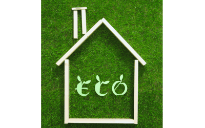 Eco-Friendly Swaps That Save Money