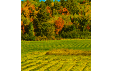Autumn Bucket List