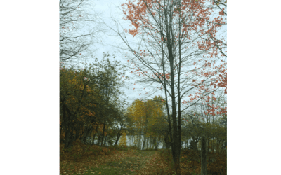 Fall Travel & Day Trip Ideas