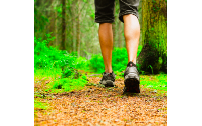 The Benefits of Daily Walking