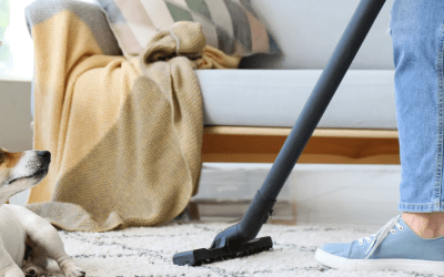 Simple Home Maintenance Tips Every Pet Owner Should Know