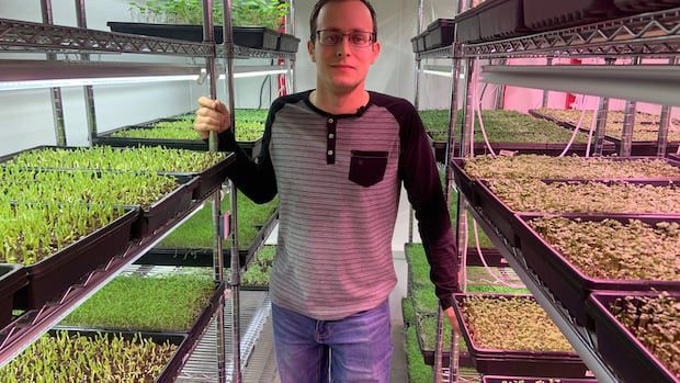 new-relief-fund-supports-atlantic-farmers-struggling-with-tough-growing-conditions-|-cbc-news