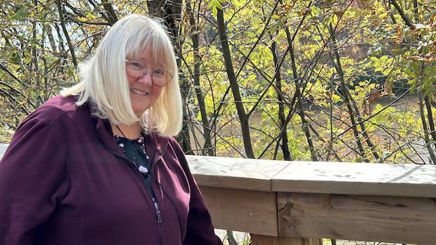 new-brunswick-group-hides-decorated-rocks-to-cheer-people-up-|-cbc-news