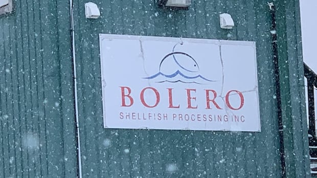 fish-plant-seeks-judicial-review-of-$1m-fine,-10-year-ban-from-foreign-worker-program-|-cbc-news