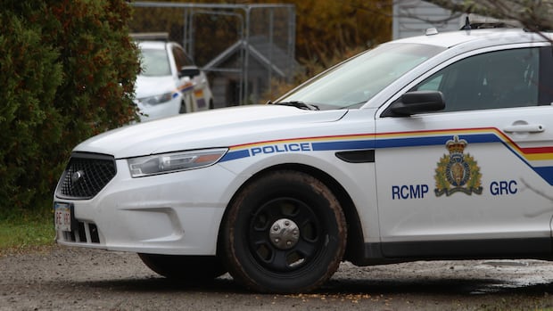'enough-cloak-and-dagger-shenanigans,’-riverview-councillor-says-over-police-budget-|-cbc-news