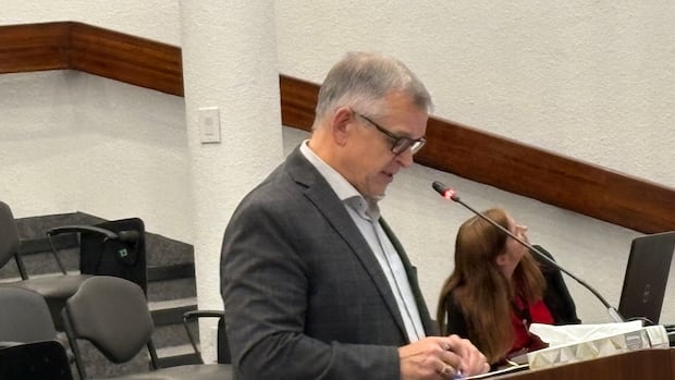 saint-john-business-group-says-city-faces-challenges,-opportunity-in-economic-growth-|-cbc-news