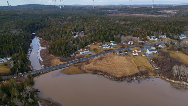 data-centre-proposed-for-saint-john-industrial-park-|-cbc-news