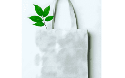 Eco-Friendly Swaps for Everyday Life