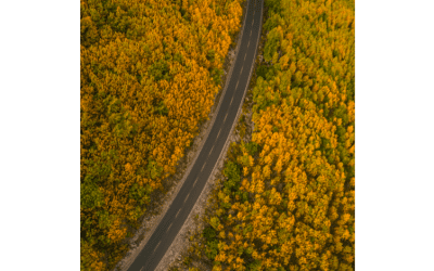 Fall Travel & Day Trip Ideas in New Brunswick, Canada