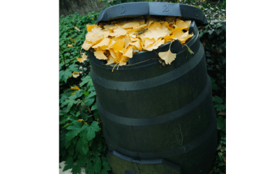 Composting in Cooler Weather