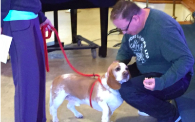 Blessing of the Animals