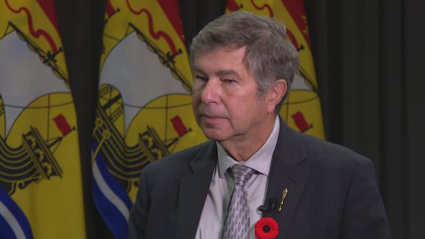 some-fear-nb.-could-miss-out-on-pharmacare-money-after-federal-budget-news-|-cbc-news