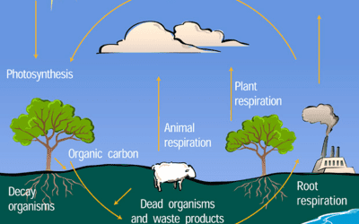 The cause of and solution to climate change in one simple graphic