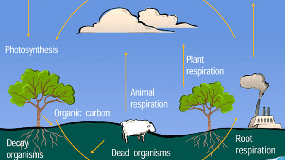 the-cause-of-and-solution-to-climate-change-in-one-simple-graphic