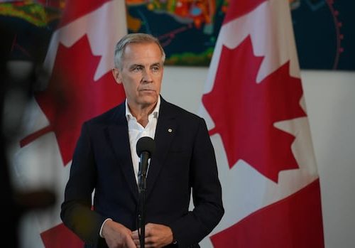 millions-of-shares-connected-to-nb.-tungsten-project-trade-hands-after-government-announcement-|-cbc-news