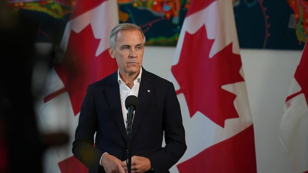 millions-of-shares-connected-to-nb.-tungsten-project-trade-hands-after-government-announcement-|-cbc-news