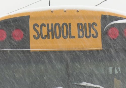 northwestern-nb.-schools-cancelled,-snowfall-warnings-in-place-|-cbc-news