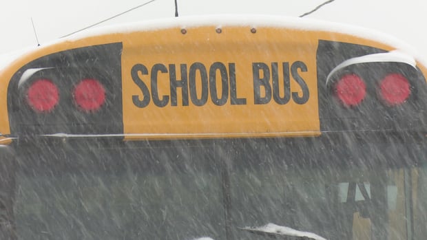 northwestern-nb.-schools-cancelled,-snowfall-warnings-in-place-|-cbc-news