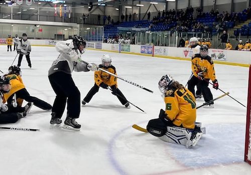 'it-is-amazing-what's-happening':-fredericton-ringette-pioneers-reflect-on-50-years-of-play-|-cbc-news