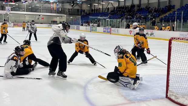 'it-is-amazing-what's-happening':-fredericton-ringette-pioneers-reflect-on-50-years-of-play-|-cbc-news