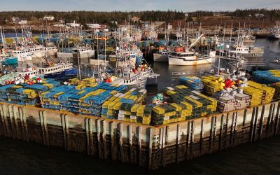 Lobster fishermen raise safety concerns before start of new season