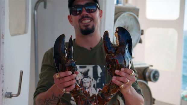 some-commercial-lobster-fishers-say-indigenous-treaty-fishing-threatens-stocks.-government-memo-says-otherwise-|-cbc-news