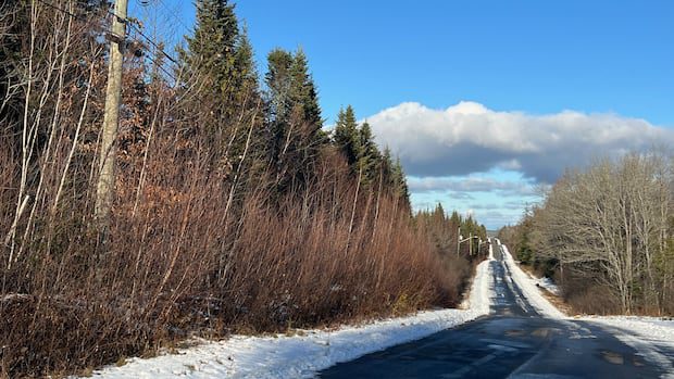 plan-for-newest-fredericton-neighbourhood-headed-for-council-consideration-|-cbc-news