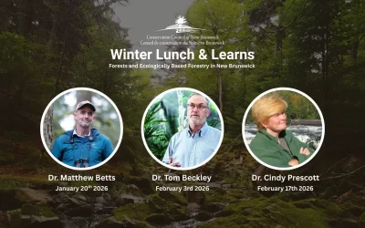 Conservation Council of New Brunswick Lunch and Learn Webinar Series