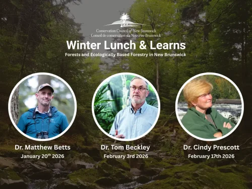 conservation-council-of-new-brunswick-lunch-and-learn-webinar-series