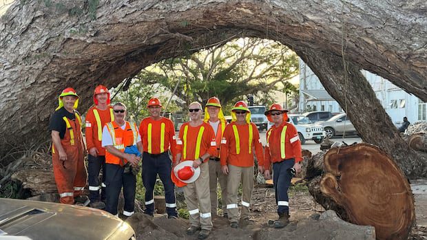 power-crews-from-new-brunswick-are-still-hard-at-work-in-jamaica-|-cbc-news